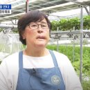 김경희농장 이미지