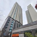 제이브라운 이미지