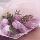 예쁜피부관리실