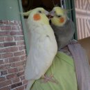 월포농장 이미지