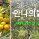 안나의 뜰 사랑채 이미지