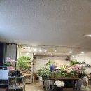 (공연) 스타인웨이 위너 페스티벌 이미지