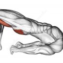 유성PT 용쓰짐 헬스장 이미지