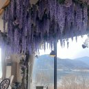 강변들보람 | [경기/가평] 남양주 파스타 맛집 찾는다면? 윤슬이 반짝이는 '무아레 맘마' 후기