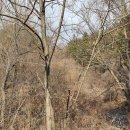 만해농장 이미지