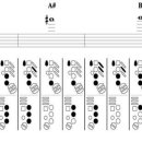 색소폰(중급) 이미지