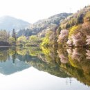 무 진 정 이미지