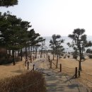 쏠피치 Daum카페