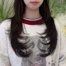 월영동282 | 창원마산미용실 힐아베크 여자 펌 손질법