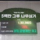 그루 이미지