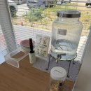 도리앤펫 | 동탄2) 느낌좋은 신상카페 애견동반가능 <포우즈데이> 산척동카페 신동카페