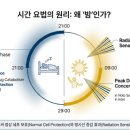 (주)케이메드 이미지