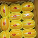 성주농장 이미지