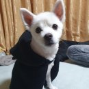 아이센스 블랙라벨PC존 양주덕정점 이미지