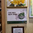 내몸에쑥뜸방 이미지