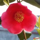 승모당구장 이미지