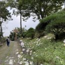 GR(부여군)-[왕릉로]-상-4 | [충남 공주] 황새바위 성지