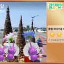 기룡정장어구이 이미지