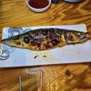 오징어 세상 이미지