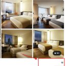 스테이라운지 | 신라스테이 제주 조식 라운지 내돈내산 솔직 후기
