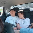 정관장 안성점 | 주간일기