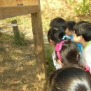 숲소리어린이집 이미지