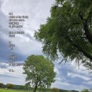 양양군 야구장 이미지