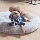 오늘도이쁘개 이미지