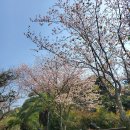 정모시공원 이미지