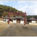 강진8호 이미지