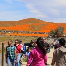 공원슈퍼 이미지