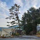 오송815B 이미지