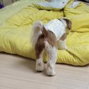 용해사우나 이미지