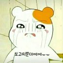 하엘 이미지