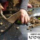 반찬놀이터 이미지