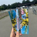 청춘역1979 공원 앞 | 후쿠오카 흔하지 않은 코스 추천 | 우미노나카미치 마린월드 해변공원 내돈내산 후기 (골든위크, 네모필라)
