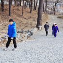 불기 2570년(2026년)-선재선원 어린이 천안상록리조트 눈썰매장 방문 이미지