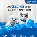 헤어힐스 - 전주시 덕진구 | 헤어힐스