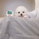 올바른친구들 이미지