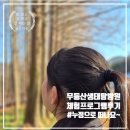누정 | (광주여행) 무등산 생태탐방원 체험프로그램 참여 후기, 누정으로 떠나는 아침산책