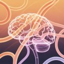 [10월 디지털배움터 2반] 스마트폰 완전정복1 | Gemini 3.0 완전해부 | 성능 변화·멀티모달 기능·실사용 팁·GPT 최신 모델 비교까지 한 번에 정리