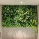 광명대중사우나 이미지