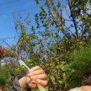 고래의 꿈 민박 이미지