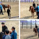솔향기흙내음