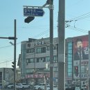 속초 가성비 애견동반 숙소 양양 제이오션뷰 203호 후기