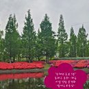 동래구청(임시청사) | ‘동해선 도보 3분’ 동래구 문화, 동래구 낙민동 옛 동래구청 임시청사 부지, 체육시설 건립 본격화...