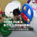 문엄마네 | 국민대문 러닝홈 후기 | 집에 ‘문’이 생기면 벌어지는 일, 엄마표 까꿍놀이