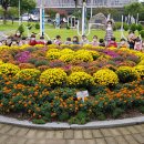 영서동행정복지센터 이미지