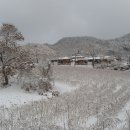 관정1리 이미지