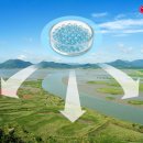 기타(플라스틱칩) 이미지